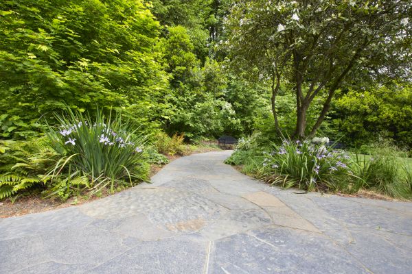 Stone Hardscape Service in Hudson